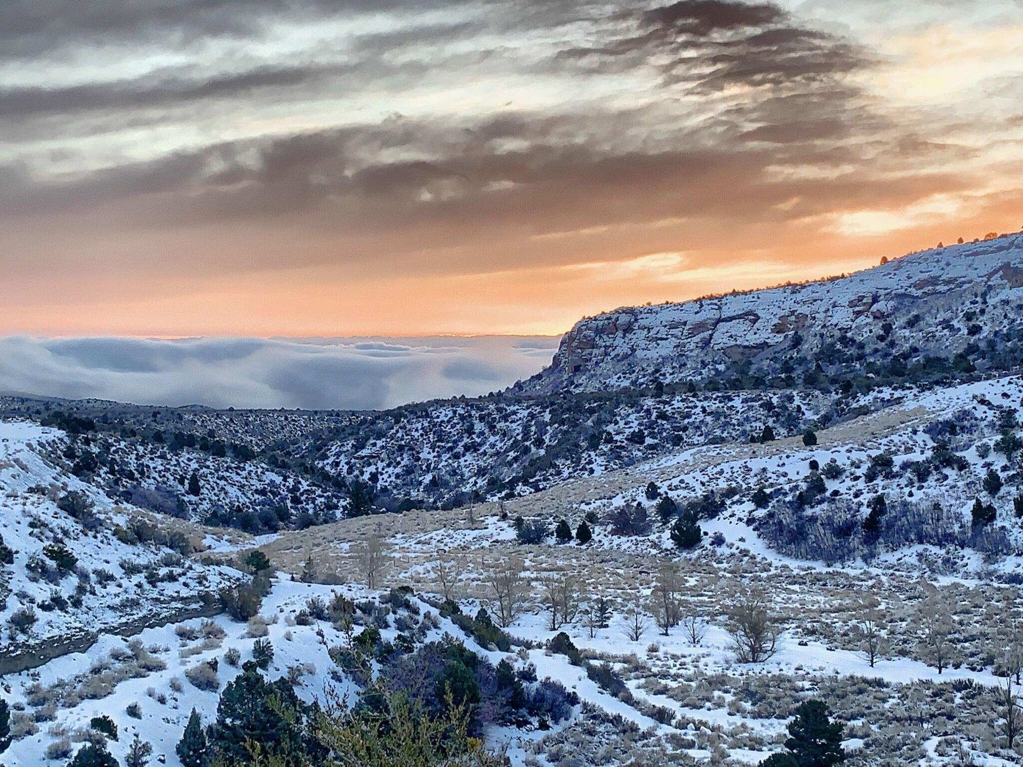 เดอะรีสอร์ต ออน เมานต์ ชาร์ลสตัน Hotel Mount Charleston ภายนอก รูปภาพ